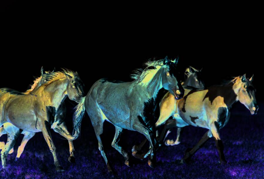 Central Asia tours